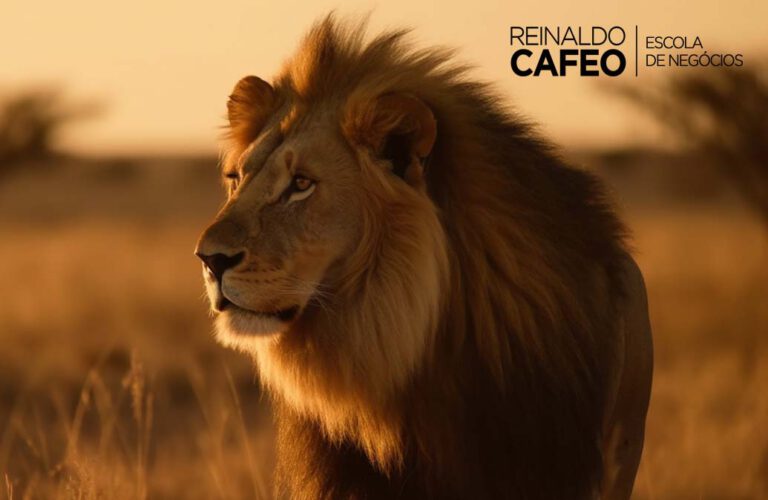 Imposto de Renda Negativo